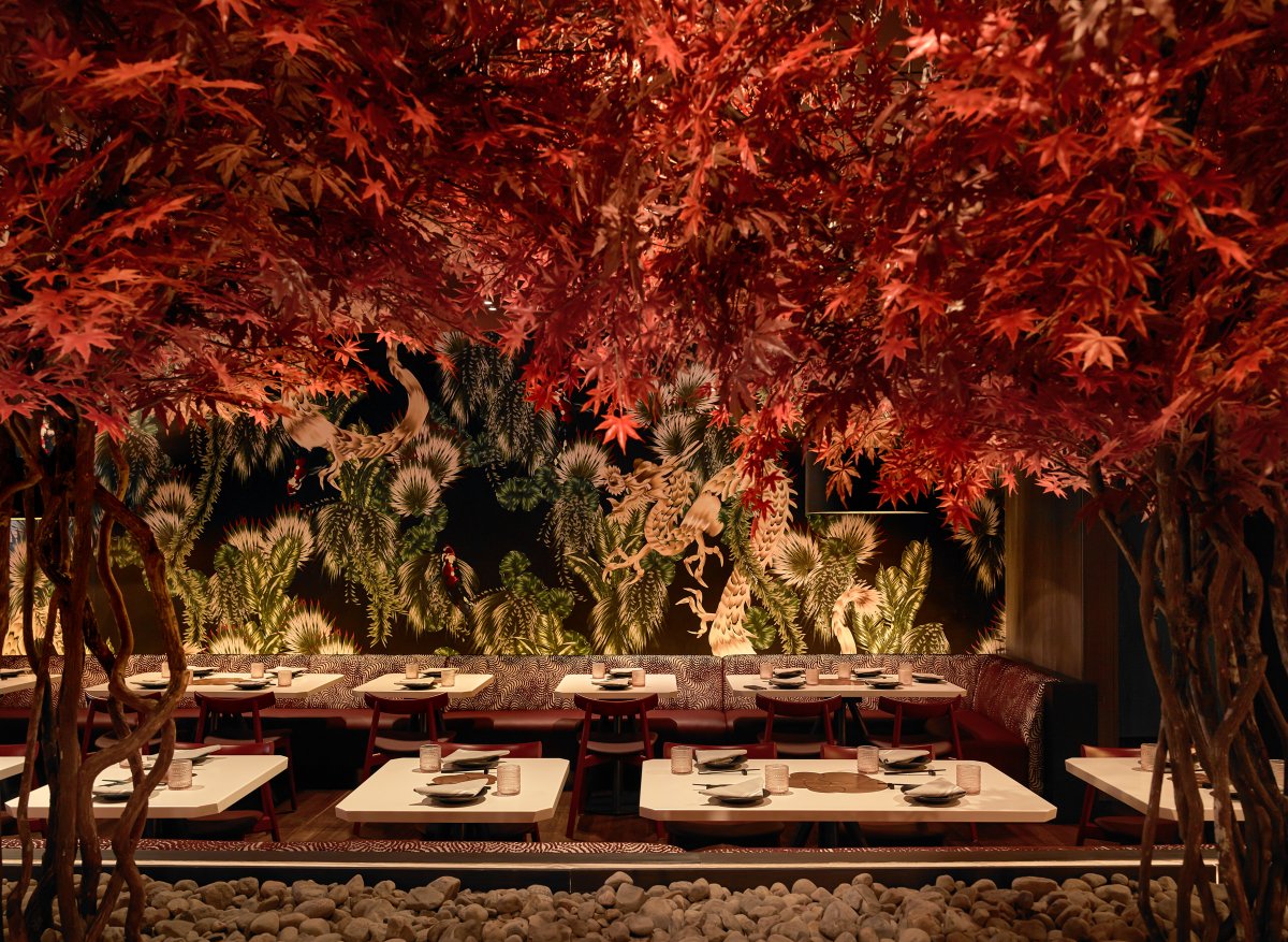 YinjiSpace Nivek Remas x Planta Queen